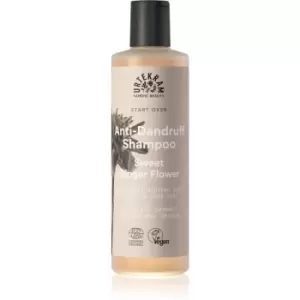 Image of Urtekram Sweet Ginger Flower Moisturizing Anti-Dandruff Shampoo With Extracts From Aloe And Ginger 250ml