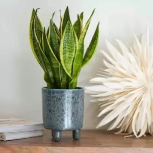 Image of Ivyline Pisa Reactive Glaze Planter Glacier Blue H19CM D16CM