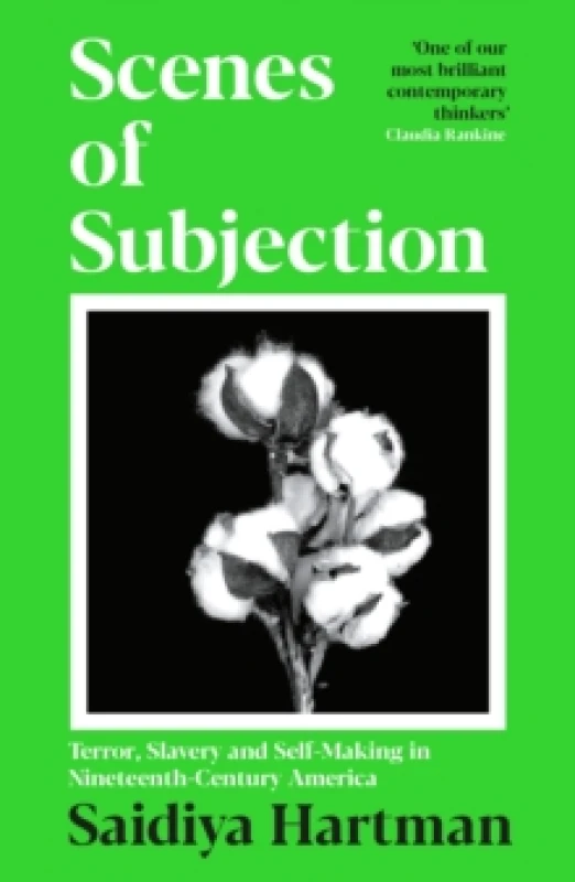 Image of Scenes of Subjection : Terror, Slavery and Self-Making in Nineteenth Century America Paperback / softback