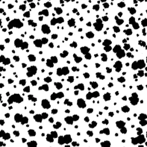 Superfresco Easy Dalmation Black and White Wallpaper