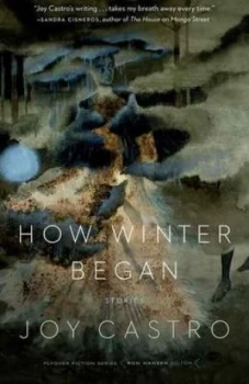 Image of How Winter Began by Joy Castro Paperback