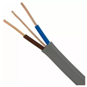 Image of Dencon Twin and Earth Cable 10m x 1mm - FLPP001STV