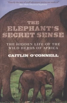 Image of The elephants secret sense by Caitlin O'Connell