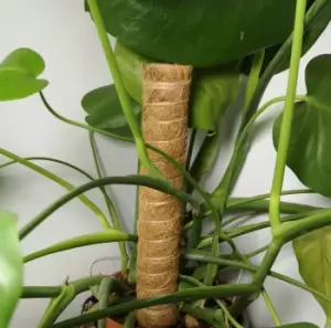 Image of Samuel Alexander Garden Coco Fibre 2PCS 40cm Plant Support Pole Stick Totum with Green Ties and Strap