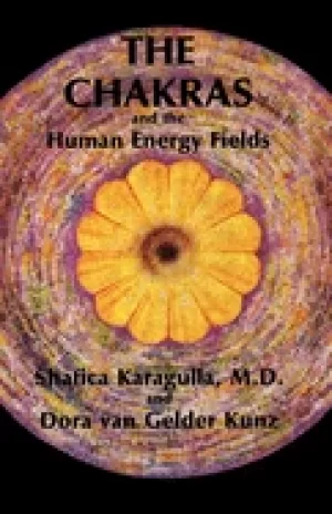 Image of chakras and the human energy fields