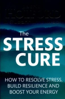 Image of The Stress Cure by Patrick Holford Paperback