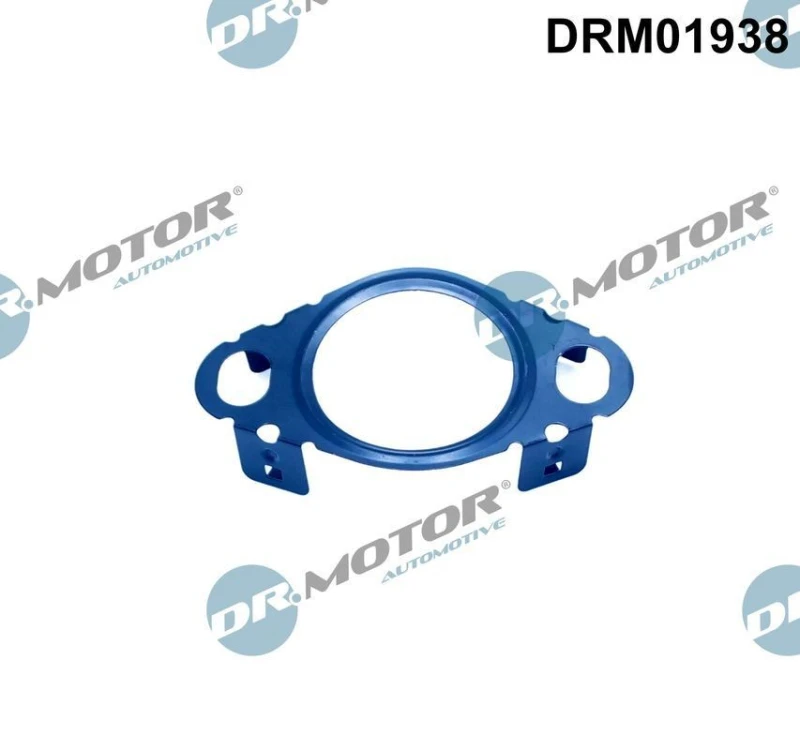 Image of DR.MOTOR AUTOMOTIVE Gasket, EGR valve pipe DR.MOTOR AUTOMOTIVE DRM01938