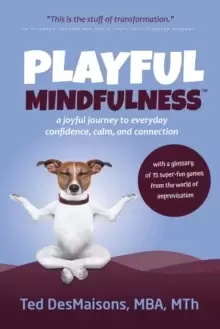 Image of Playful Mindfulness : A Joyful Journey to Everyday Confidence, Calm, and Connection