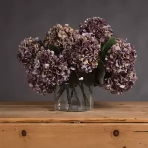 Image of Autumn Burgundy Hydrangea