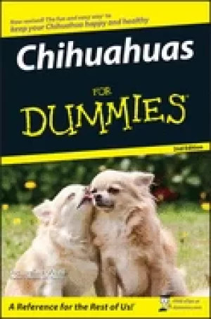 Image of chihuahuas for dummies