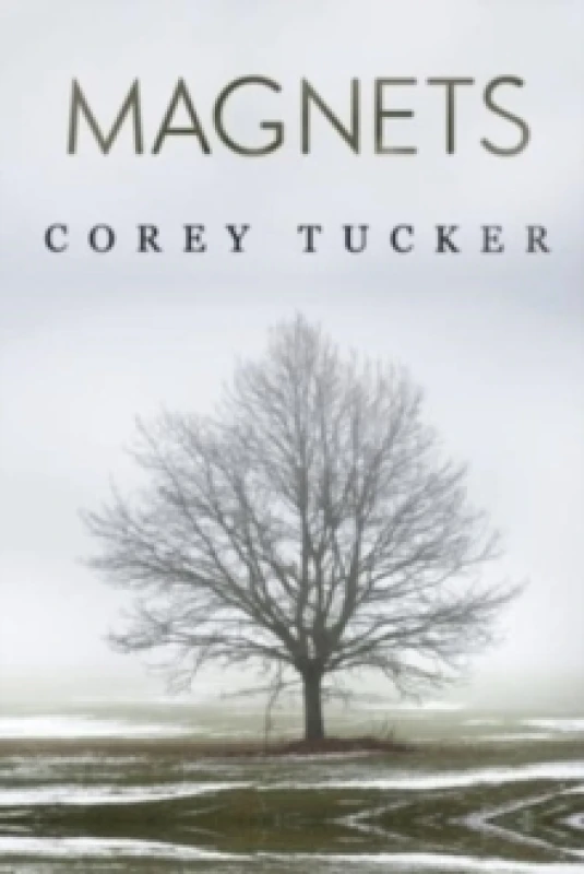 Image of Magnets Paperback / softback