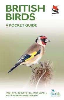 Image of British Birds : A Pocket Guide