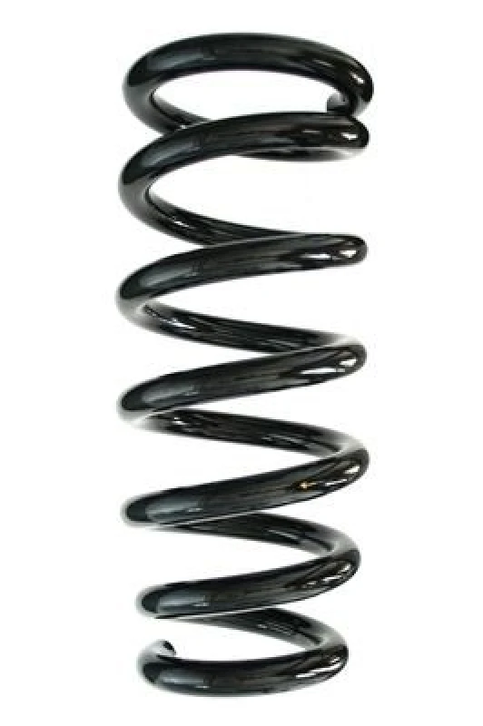 Image of Coil spring SPIDAN 87481