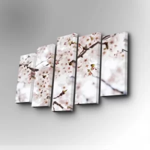 Image of 5PUC-079 Multicolor Decorative Canvas Painting (5 Pieces)