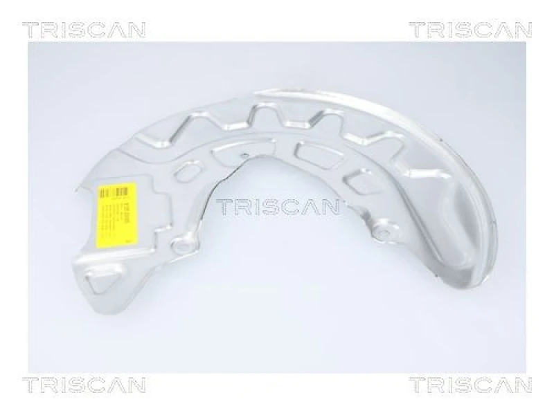 Image of TRISCAN Brake disc backing plate TRISCAN 8125 29105