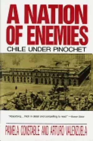 Image of nation of enemies chile under pinochet