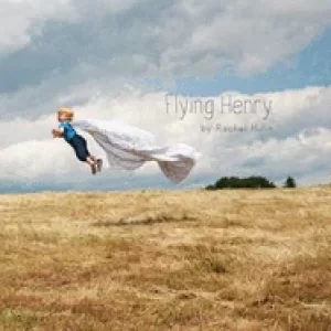 Image of flying henry