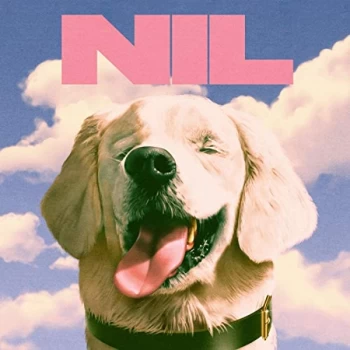 Image of The Dirty Nil - Fuck Art Vinyl