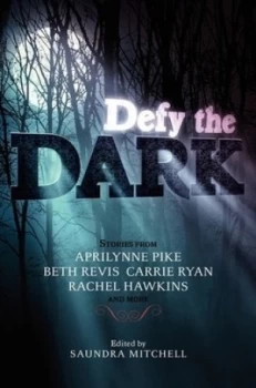 Image of Defy the Dark by Saundra Mitchell Paperback