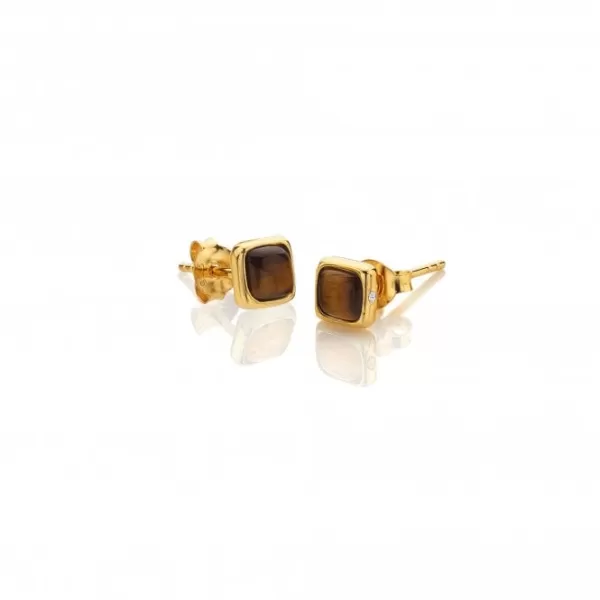 Image of Square Tigers Eye Earrings DE772