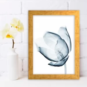 Image of AC548352760 Multicolor Decorative Framed MDF Painting