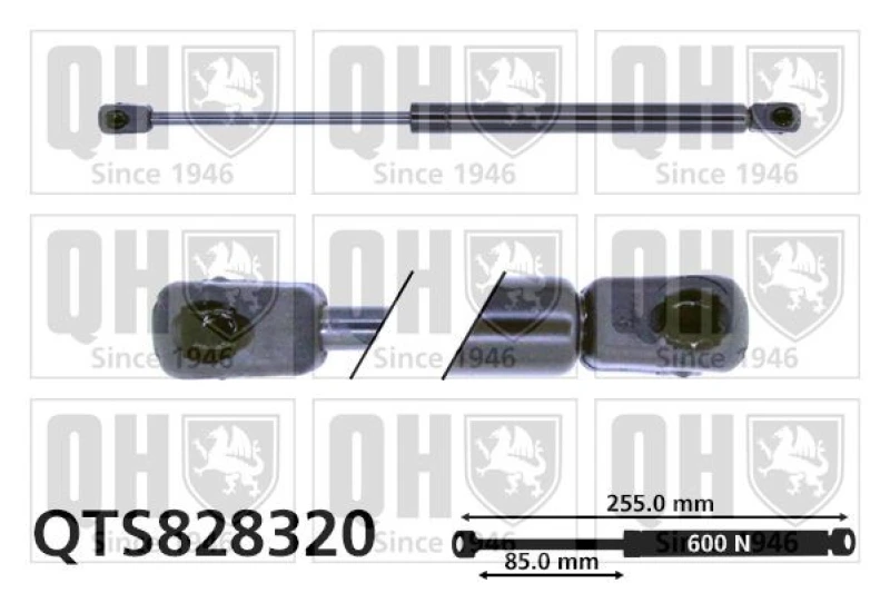 Image of QUINTON HAZELL Tailgate strut QUINTON HAZELL QTS828320