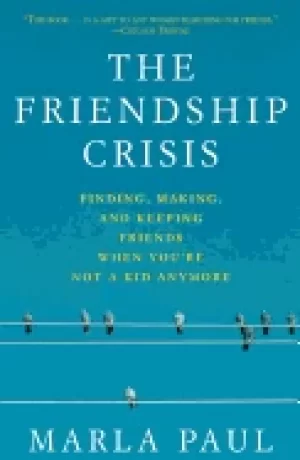 Image of friendship crisis finding making and keeping friends when youre not a kid a
