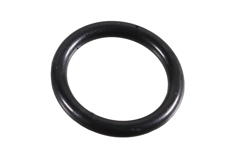 Image of Seal Ring METZGER 2430087