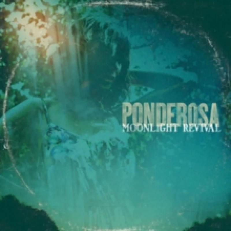 Image of Moonlight Revival CD / Album