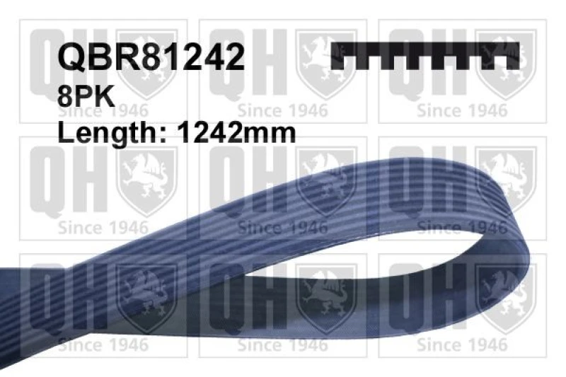 Image of QUINTON HAZELL Serpentine belt QUINTON HAZELL QBR81242