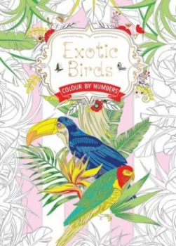 Image of Exotic Birds by Daisy Seal Paperback