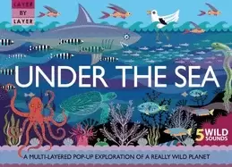 Image of layer by layer under the sea