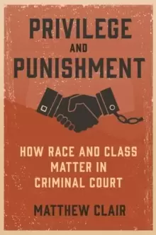Image of Privilege and Punishment : How Race and Class Matter in Criminal Court