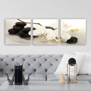 Image of P185735 Multicolor Decorative Canvas Painting (3 Pieces)