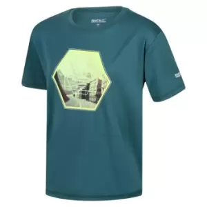 Image of Regatta Alvarado VI T-Shirt - Green