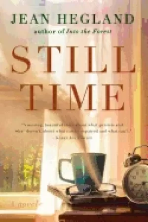 Image of still time a novel