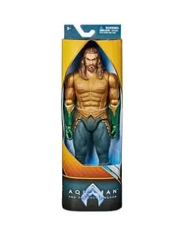 Image of Aquaman Aquaman 12" Figure