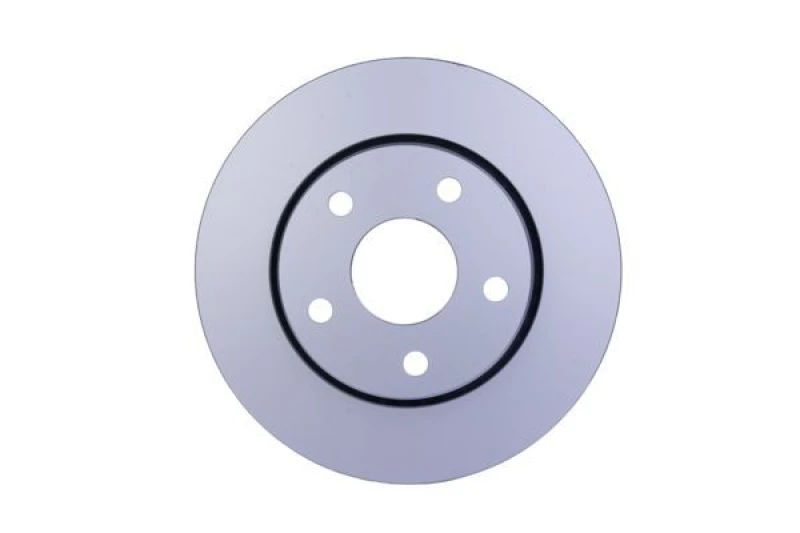 Image of HELLA Brake disc HELLA 8DD 355 119-191