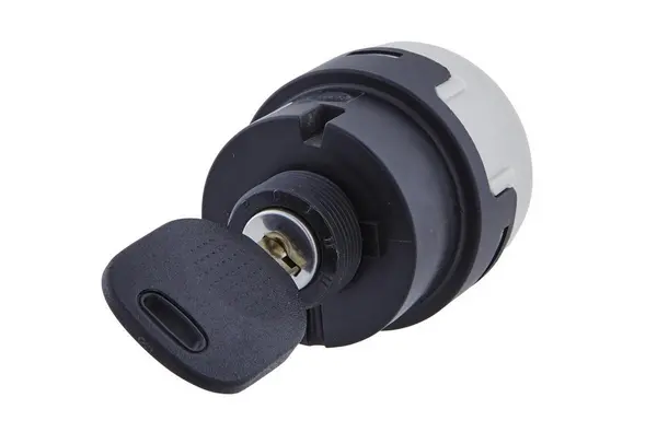 Image of HELLA 6JB 003 959-001 Ignition- / Starter Switch Ignition- / Starter Switch (2907)