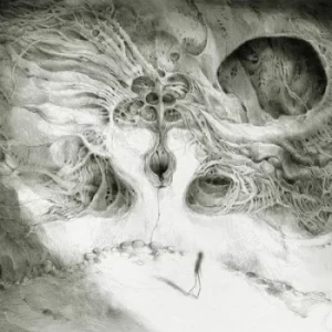 Image of Into the Void of Human Vacuity by Wastes CD Album