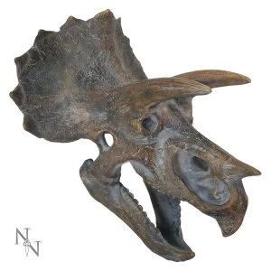Image of Triceratops Dinosaur Head