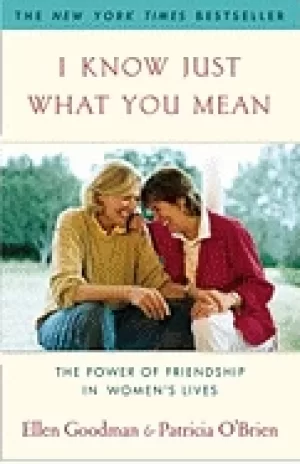 Image of i know just what you mean the power of friendship in womens lives