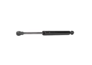 Image of RIDEX Tailgate strut PEUGEOT 219G0170 3470400,8731C9