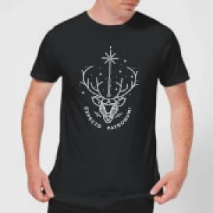 image of Harry Potter Expecto Patronum Mens T-Shirt - Black - XXL