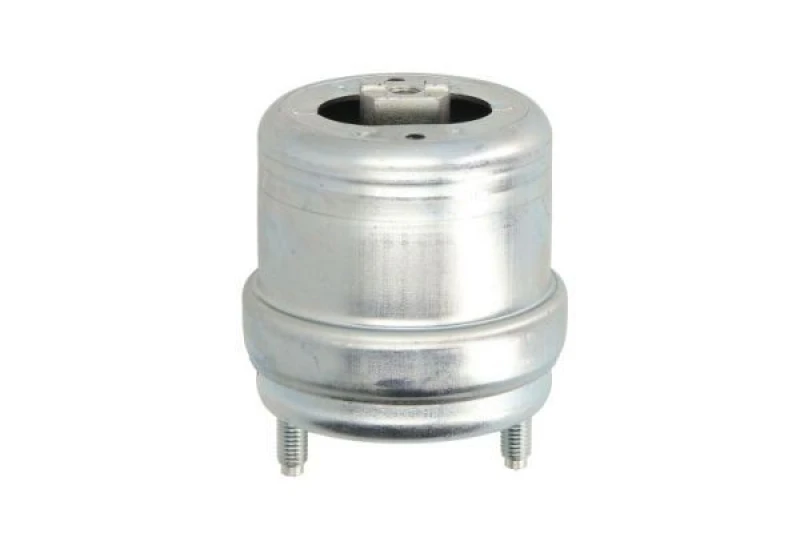 Image of REINHOCH Engine mount REINHOCH RH11-0054