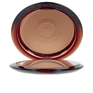 TERRACOTTA MATTE poudre bronzante #light 10 gr