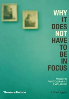Image of Why It Does Not Have to Be in Focus by Jackie Higgins Paperback