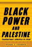 Image of black power and palestine transnational countries of color