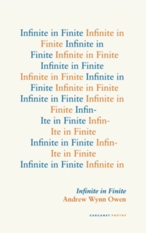 Image of Infinite In Finite Paperback / softback