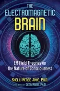 Image of electromagnetic brain em field theories on the nature of consciousness